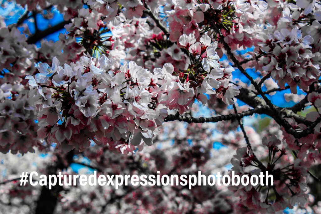 Captured Expressions (@capturedexpress) / Posts / X
