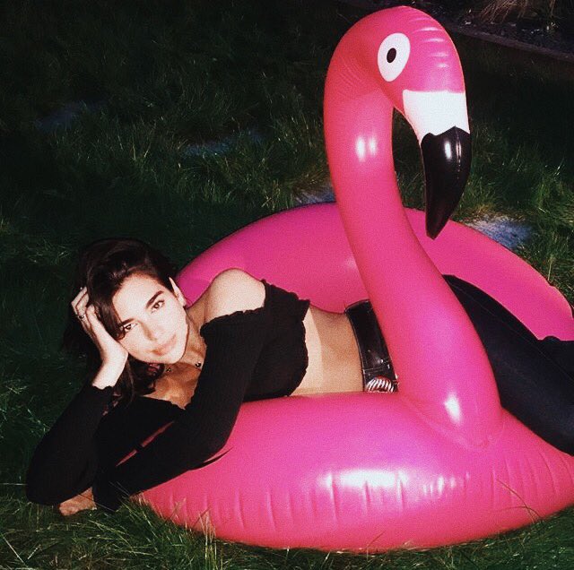 arianaasdua's tweet photo. https://t.co/vbpHHYK0mp