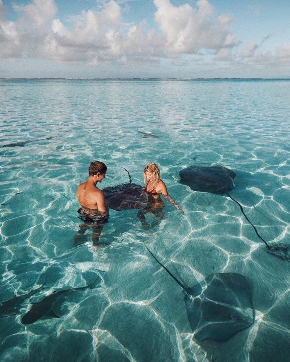 Nager dans les eaux turquoises de Bora Bora 😍🌊