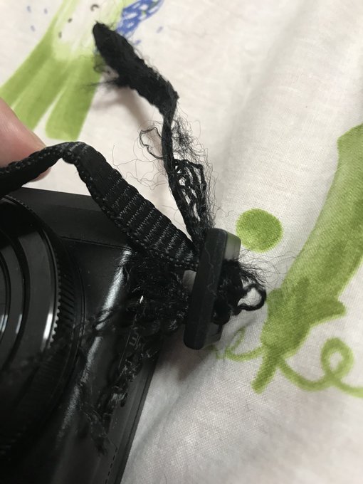 カメラストラップのtwitterイラスト検索結果 古い順