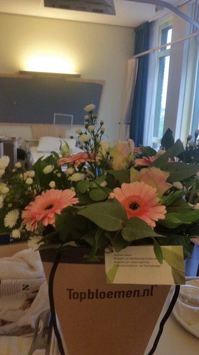 Ingrid van Kassen tweet media