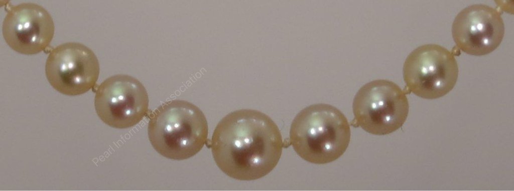 PIAUK2017's tweet photo. Interview With Kimberly22 From Pearl Guide https://t.co/3GY0crWwNZ https://t.co/gwxsCMMV4Y
