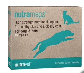 CompanionLifeUK's tweet photo. nutramega is @nutravet's natural support for healthy skin & coat for dogs and cats. Read more about it here in our product showcase - https://t.co/VTBoflqB2i
#nutravet #nutramega #naturalsupport #dogs #cats https://t.co/TwXO94qcEc