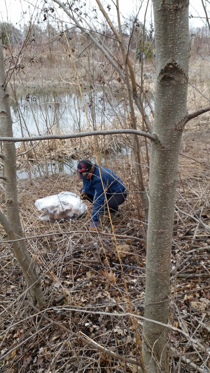 marilyniafrate's tweet photo. Thanks Rob for organizing community clean up of the pond and what a great turnout to help! We were joined by Keep Vaughan Green. Under all that garbage there was beauty peeking through @EarthDayCanada @_DebSchulte #keepvaughangreen https://t.co/NcbVaqO8xx