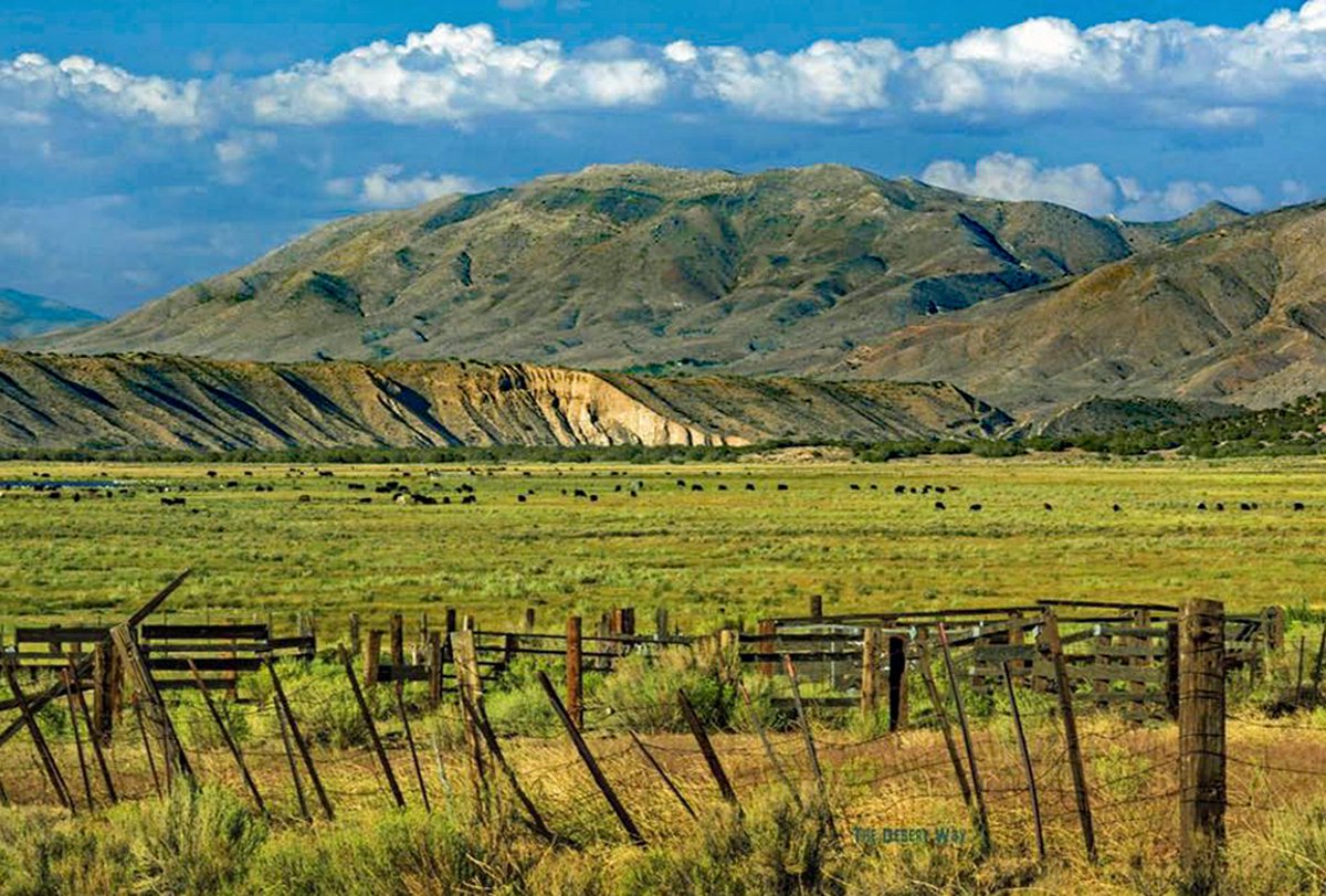 desert_way's tweet photo. Oh Summit Valley, how we heart thee. It saddens many to know that soon you will be developed thanks to the #TapestryProject and Hesperia politicians taking a midnight vote instead of letting voters decide. https://t.co/Qwac7vrdEO