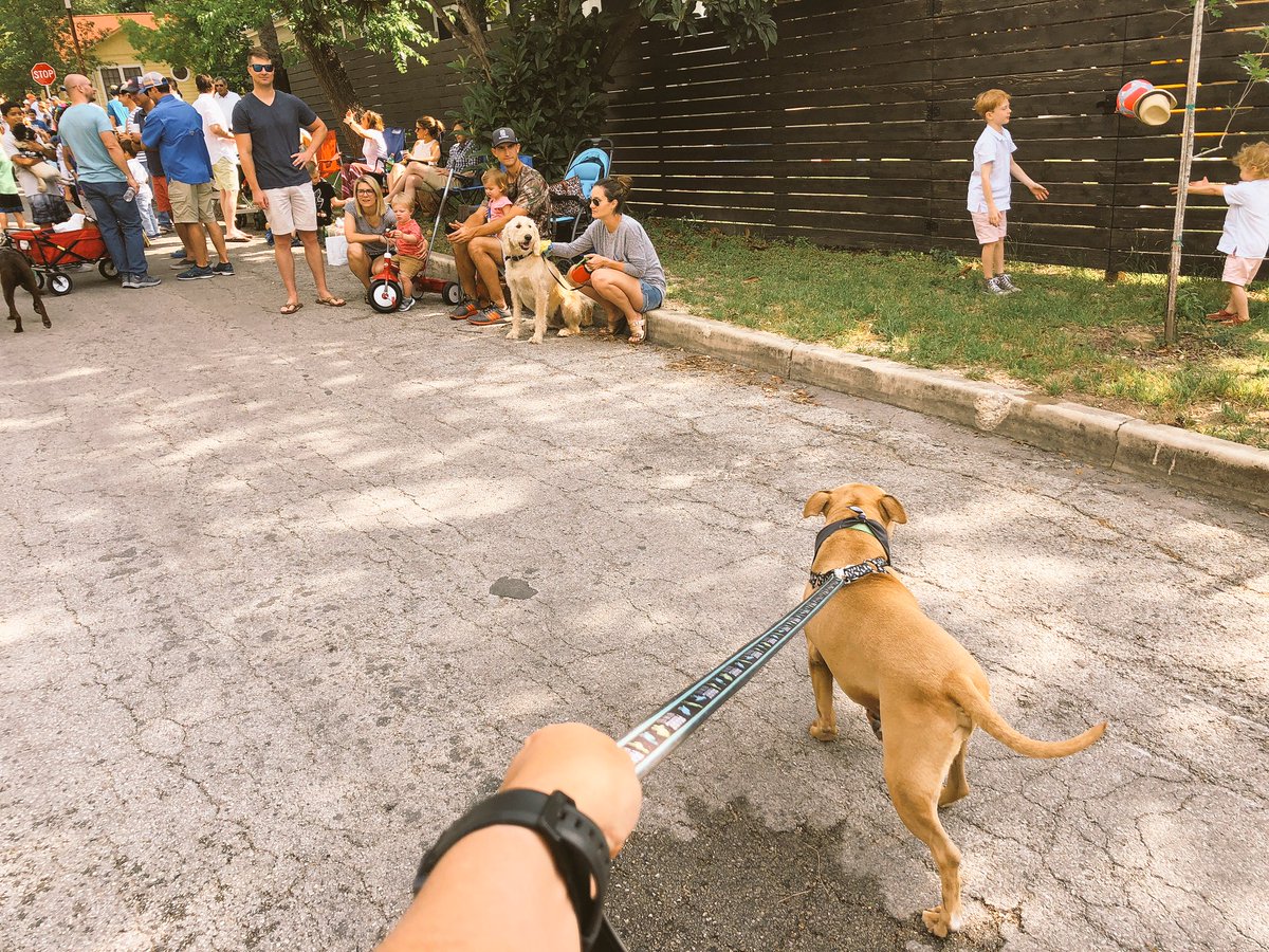 Mules2College's tweet photo. ๐ถ FIRST TIME AT THE @FiestaSA POOCH ๐PARADE! ๐ถ
Had a blast walking through the @cityofah & seeing so many @AHISD / @AHHSmules families AND some great looking dogs!
Looking forward to doing this incredible event next year!
@SNIPSA1 @sahumane
#ACPBR #Rescue #adopt #Fiesta https://t.co/ItfWL7c39L