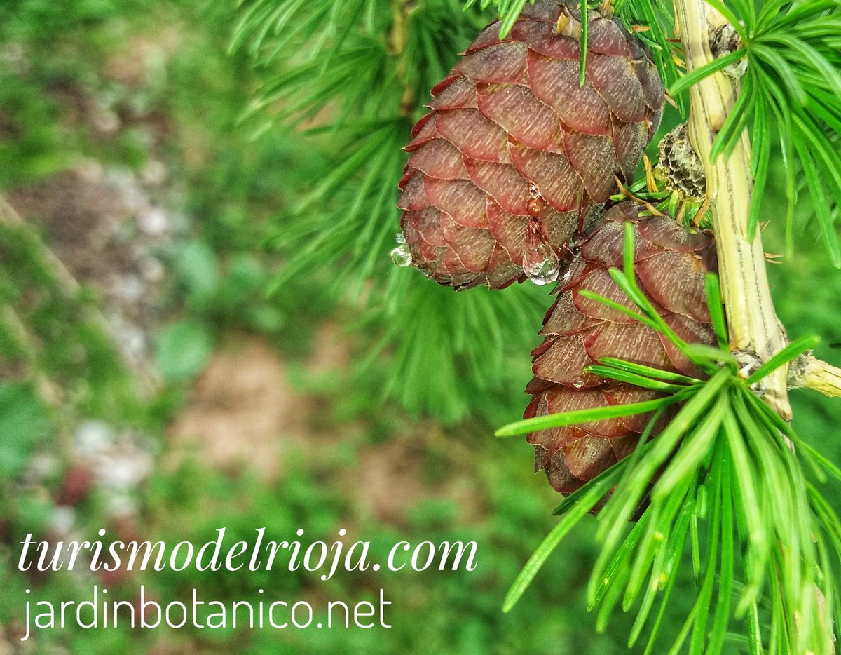 #larioja es #naturaleza #pueblos #rural #turismo #gastronomía ... #vino #personas #rincones <a href="/turismodelrioja/">turismodelrioja.com</a>