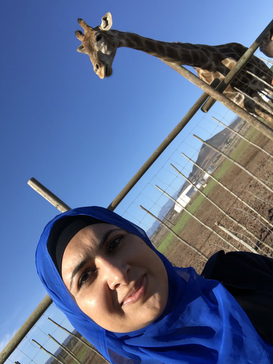 NaadiyaMoosajee's tweet photo. Just discovered #giraffehouse outside #stellenbosch & couldnโt resist a #GiraffeSelfie @capetown is such an a amazing city. My son loved it. Great to teach them conservation at an early age https://t.co/zNTxthRqGt