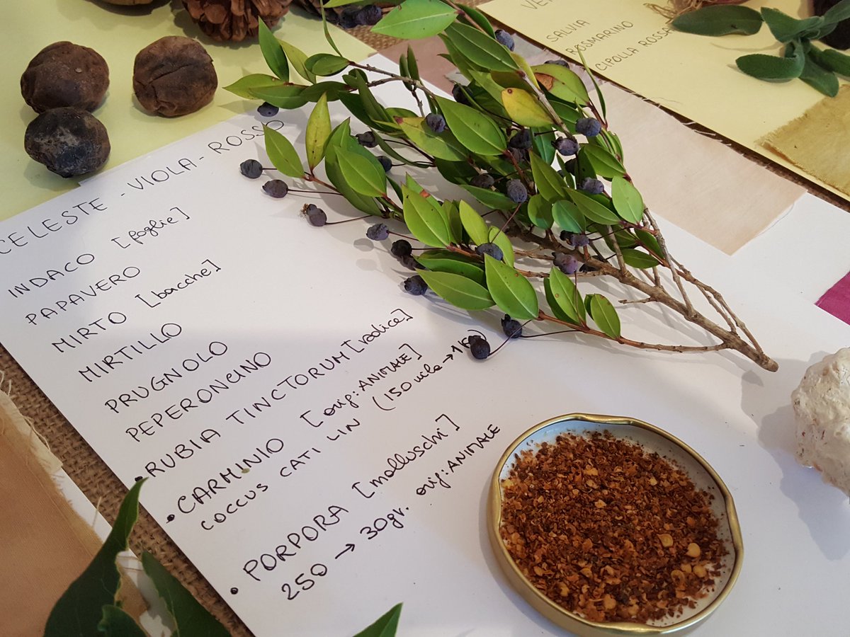 Parchi Val di Cornia tweet media