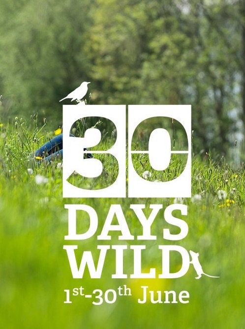 Guess what? #30DaysWild is back! Sign up to receive your free pack full of Random Acts of Wildness here: wildlifetrusts.org/30DaysWild  and start your adventures! @WildAbtGardens @WildLondon <a href="/WildlifeTrusts/">The Wildlife Trusts</a> <a href="/WoodlandTrust/">WoodlandTrust</a>