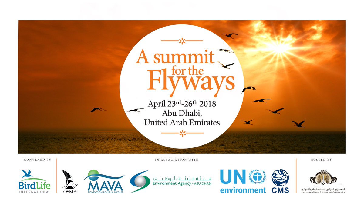 keil_florian's tweet photo. All eyes were on the #AbuDhabi #FlywaysSummit last week! Here is the link to the outcome declaration: https://t.co/Y3j6vxvlGp https://t.co/JMsk2CF4w6