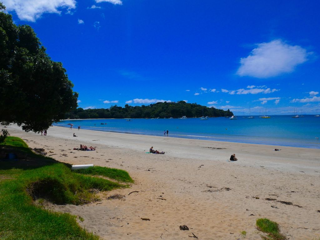 how_travel_'s tweet photo. Such a wise idea to hike an #ebike to get around #waiheke island 🏖 so hilly sometimes!!! Oh and those beaches!! Don't want to leave now 😍😍😍 #travelphotography #travelbloggers #discover #NewZealand  #howtravel #beachday https://t.co/wObhV4tnAV