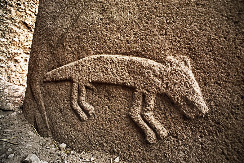 Archaic Animals on Twitter: "It's #MysteryMonday What animal is this? Who is he? He's definitely a he, if you look closely. From Gobekli Tepe, in SE Turkey, around 10,000 years ago.… https://t.co/1y8T2TB8QH"