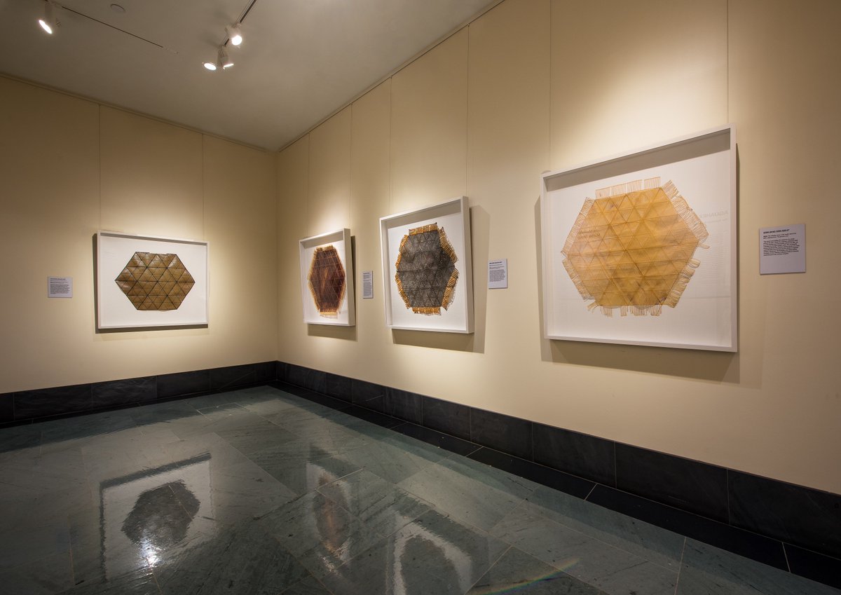 CPNAS's tweet photo. While attending #NAS155, take time to explore our #sciart exhibitions, #ArtMakesItself by Paul Brown, #Aguahoja by @medialab, and #DuBoisData by @RLukeDuBois. https://t.co/MxhN2BFioJ