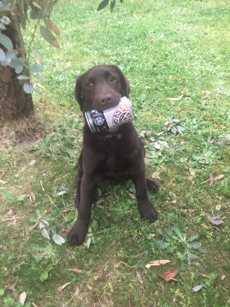 Get my first <a href="/mauibrewingco/">MauiBrewingCo</a> in France ! Wouaf