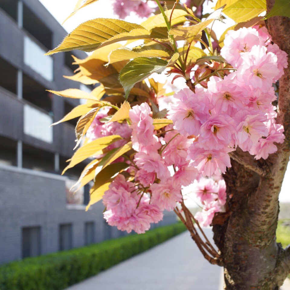 Barking Reach tweet media