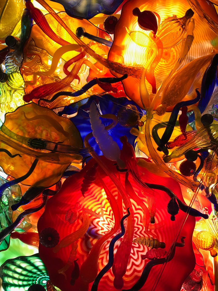 Jeff Starr (@jeffstarrjr) on Twitter photo 