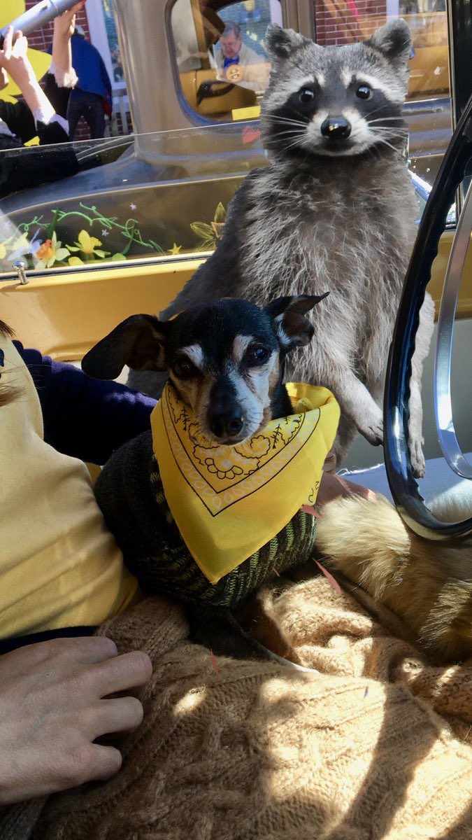 feels gr8 to be bACK <a href="/stoolpresidente/">Dave Portnoy</a>