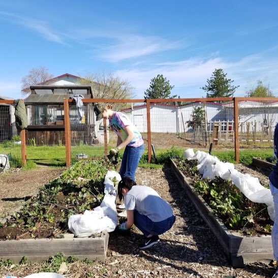 It’s estimated that there are nearly 6,000 people in the Sacramento region whose hunger needs are not being met.  

You can partner with us by scheduling a donation here  bigdayofgiving.org/twinlakesfoodb…