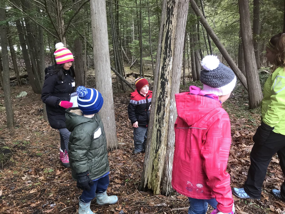 PaulaMurphy39's tweet photo. Thank you to Nantyr Shores Enviroventure class for your leadership today with our young learners at Singing in the Rain!@SCDSB_Schools #getoutside https://t.co/ZM3SGZyucA