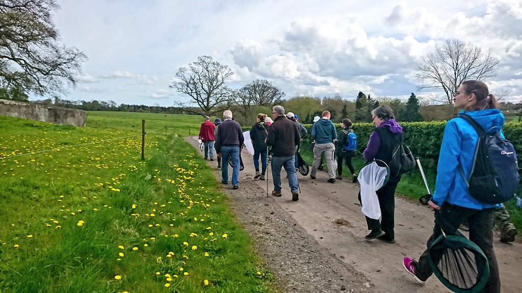 BOMaoileoin's tweet photo. Super day out in Dalgan today for the @BioDataCentre's #Bumblebee #MonitoringScheme workshop. B. terrestris, B. lucorum agg, B. pratorum, B. lapidarius, B. pascuorum and Andrena species all in the air. The big search is on for nesting sites! #Meath #Bees #Bombus #Andrena https://t.co/UX6PKgdO00