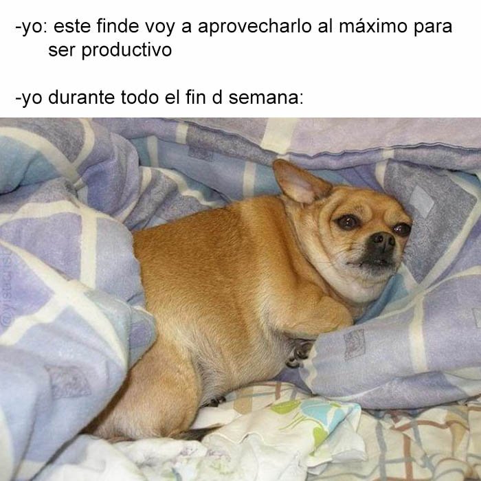 yisuscribete's tweet photo. sta pasando https://t.co/BE1J7uKY6M