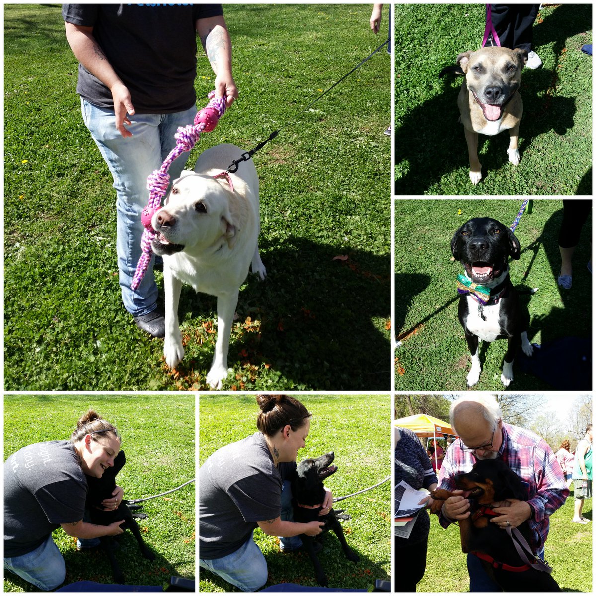 Marketing at Bark in the Park today! 😍 #inspiredbypets <a href="/RaySims571/">rsims</a> <a href="/JschroederJamie/">Jamie Schroeder</a>