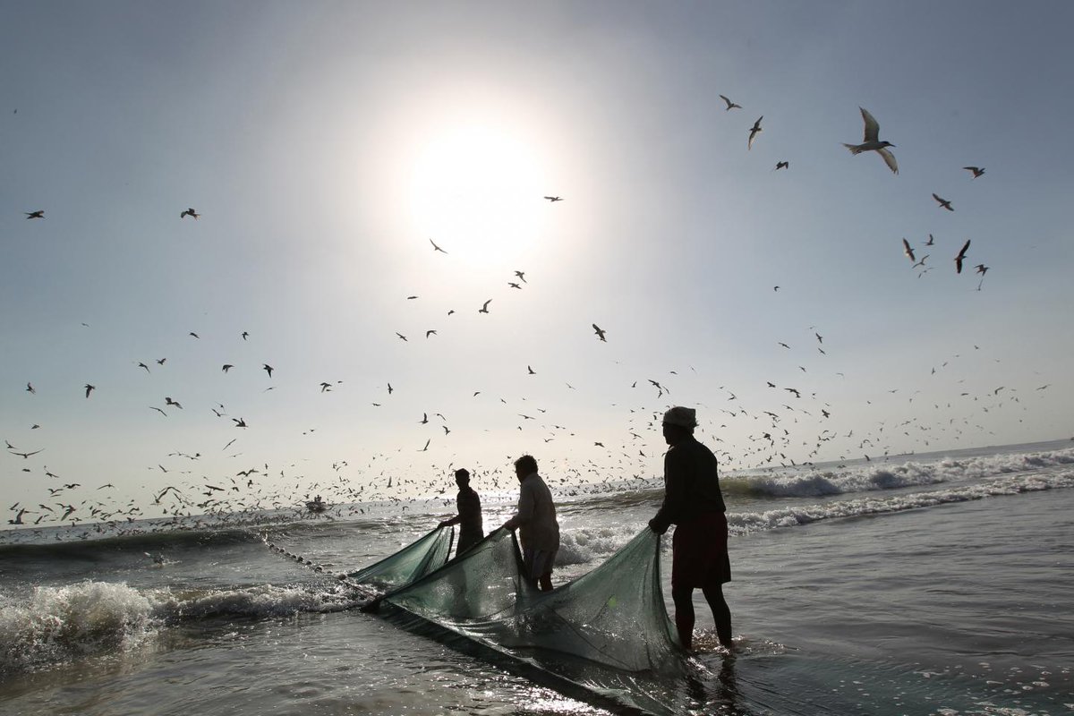 Newsweek's tweet photo. Ocean dead zones "are a disaster waiting to happen.”
https://t.co/k8gWHTH7l5 https://t.co/GUpd9n5j4d