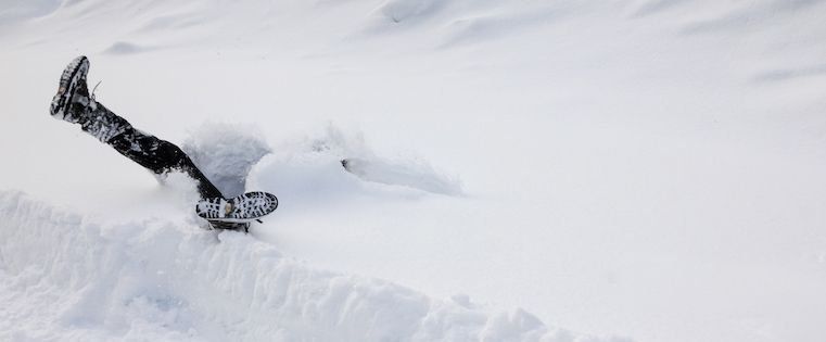 TheCollective Search tweet media