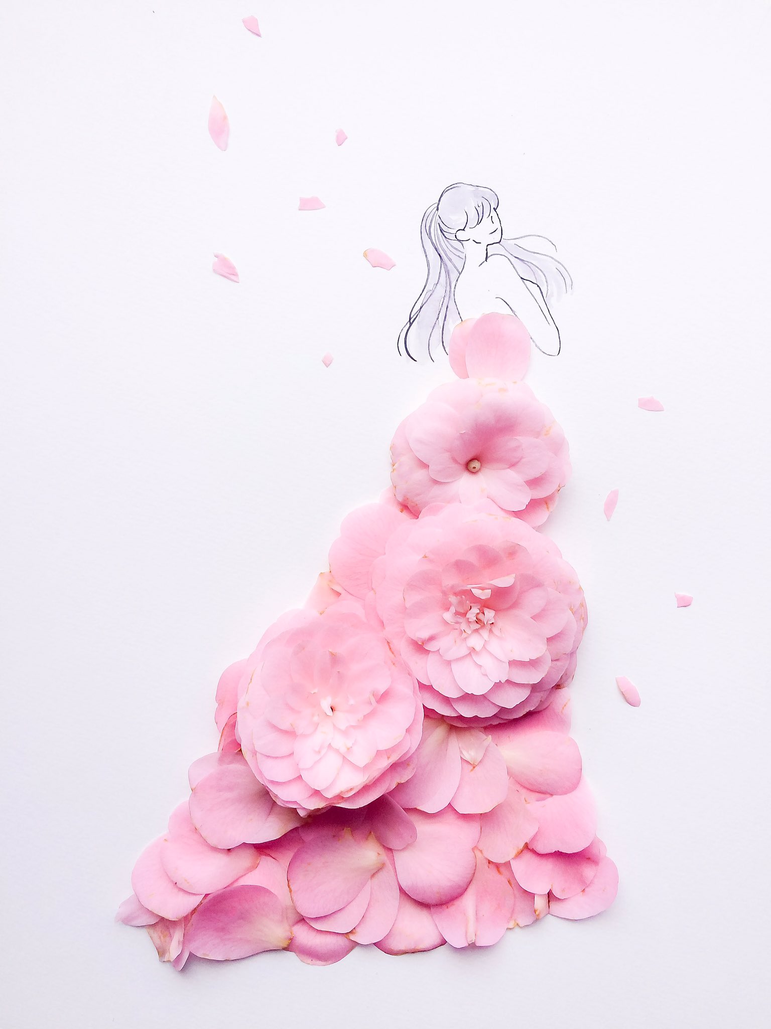 تويتر はな言葉 葉菜桜花子 على تويتر きょう4月29日は 昭和の日 ゴールデンウィーク 国際ダンスデー 羊肉の日 阿寒湖湖水開き 畳の日 誕生花はツバキ 花言葉 控えめな優しさ 気取らない優美さ T Co Udigk4kia5