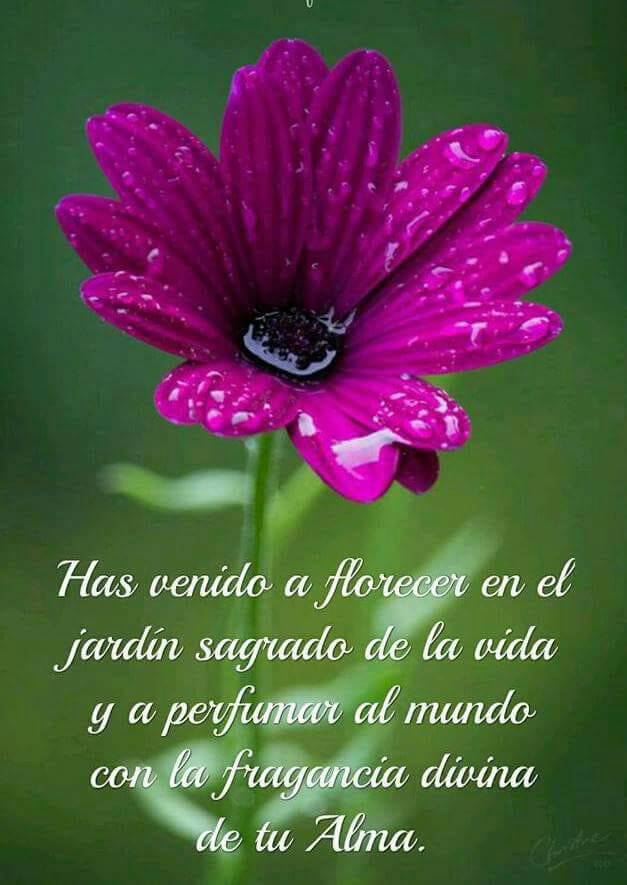 jurancyereu's tweet photo. https://t.co/evv6ZY24VB