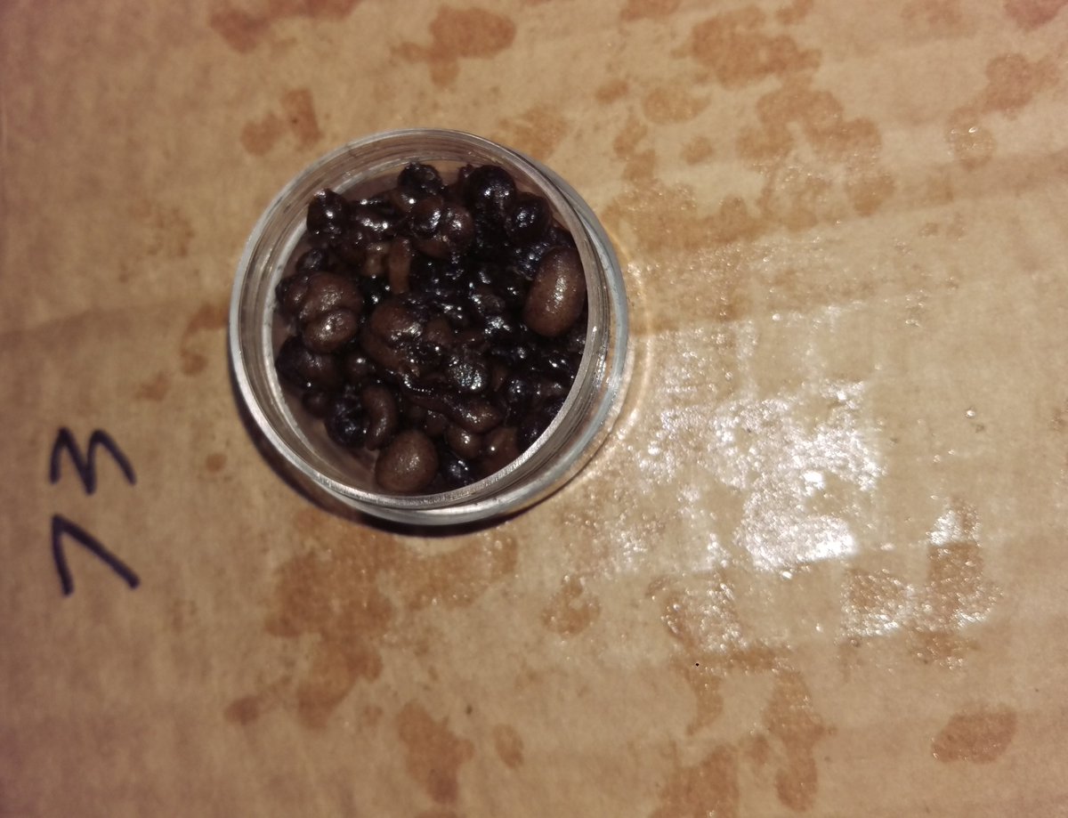 etard_webcam's tweet photo. The Pics of the #BubbleHash I made on April 15th.🤓
I used more bud in this batch.
25 micron & 73 micron
#Hash #Hashish #MedicalHash #MedicalMarijuana #CannabisMedicine #PainMedicine #Marijuana #Cannabis #Weed #THC #extracts #FullMeltHash #California https://t.co/OV6CNvIWOt