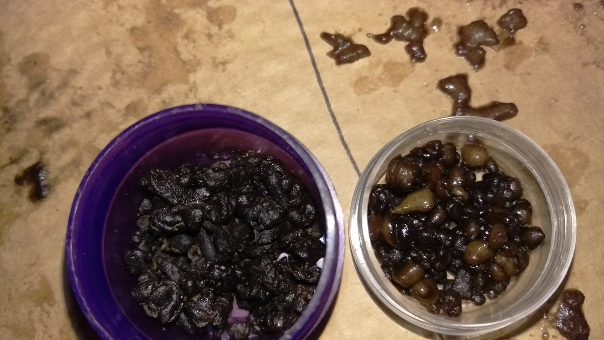 etard_webcam's tweet photo. The Pics of the #BubbleHash I made on April 15th.🤓
I used more bud in this batch.
25 micron & 73 micron
#Hash #Hashish #MedicalHash #MedicalMarijuana #CannabisMedicine #PainMedicine #Marijuana #Cannabis #Weed #THC #extracts #FullMeltHash #California https://t.co/OV6CNvIWOt