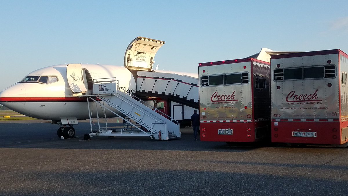 CreechHorse's tweet photo. Beautiful morning for loading horses from @OBSSales #whenhorsesfly
#TexSutton #horses #horsetransport #Thoroughbreds https://t.co/ZM69Ommjuj