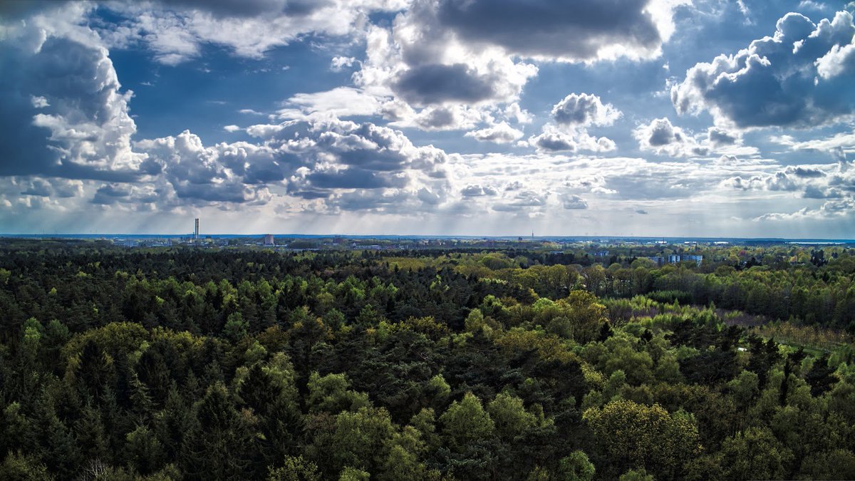 Hach, ist das schön grün hier in Wedel.

#Drone #Elbe #Wald #Klövensteen