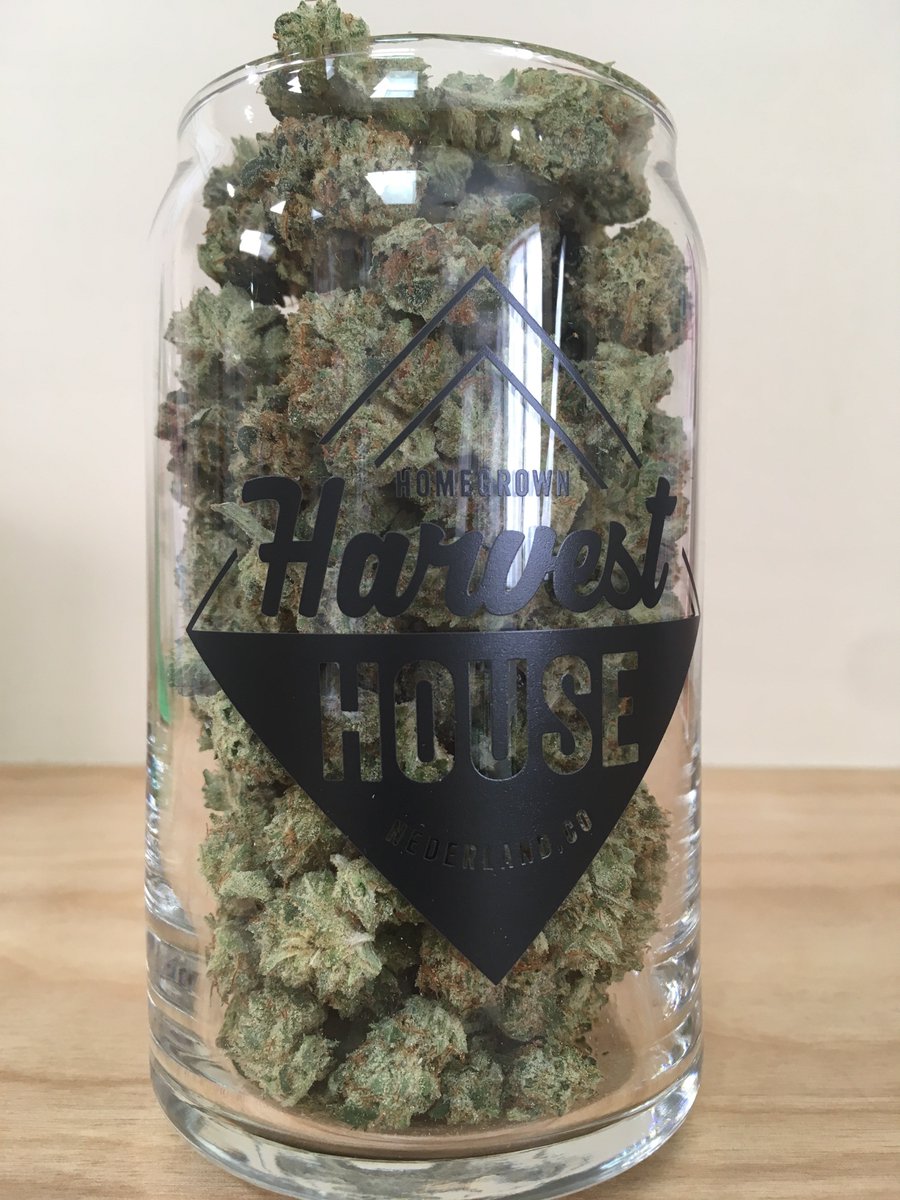 HarvestHouseNed's tweet photo. Beer is good, but heady buds are better. #beerbuds #buddies #nugs #DANK #headstash #supportlocal #nederlandco #clusterfunk #headies #localhomegrown #sharingiscaring #weloveyou #pesticidefree #handtrimmed https://t.co/Fx7IClyjjq