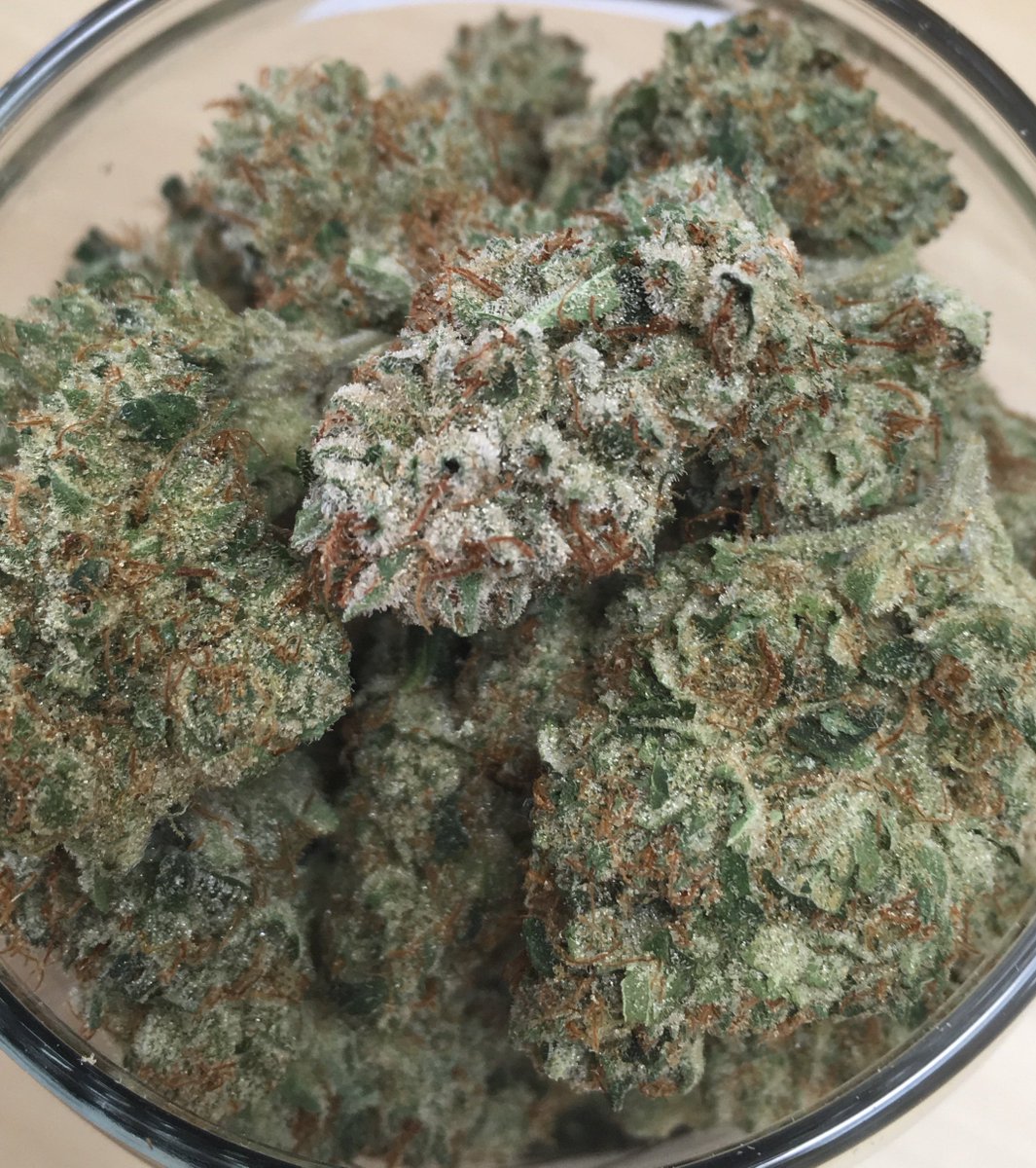 HarvestHouseNed's tweet photo. Beer is good, but heady buds are better. #beerbuds #buddies #nugs #DANK #headstash #supportlocal #nederlandco #clusterfunk #headies #localhomegrown #sharingiscaring #weloveyou #pesticidefree #handtrimmed https://t.co/Fx7IClyjjq