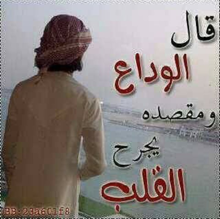 صدو ..وانا من عزة النفس صديت!!
ومات الغلا وقلوب الاحباب حيه .
#طير_شلوى_للدعم
#مملكة_اناقة_للدعم