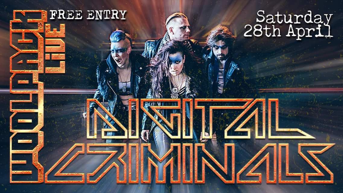 Woolpack Live tweet media