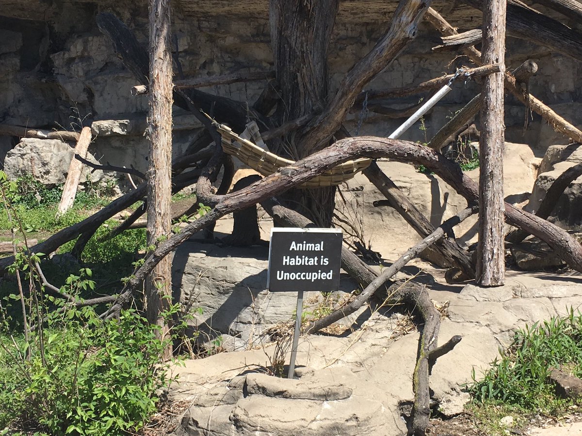 ☹️where are the red pandas? <a href="/stlzoo/">Saint Louis Zoo</a>