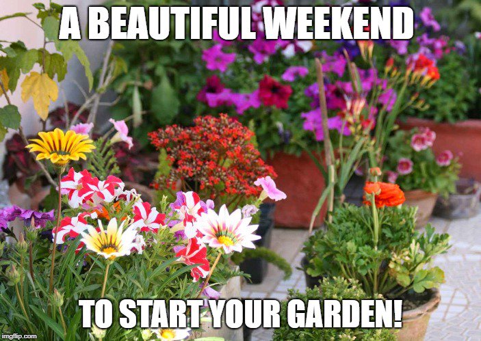 executivepropnd's tweet photo. #ExecutiveProperties #garden https://t.co/ZTOHtgJTwr