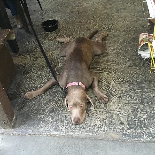 Hangover got you down? We have the cure for that: brunch (and a shot)
📷: <a href="/alexandrajklc/">Alexandra Cunningham</a>