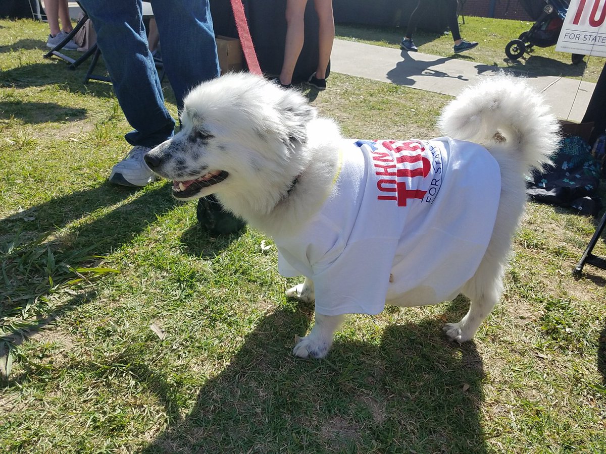 TurnerForTX's tweet photo. What a perfect morning for Run the Highlands, put on by the @lhjwleague! They did an amazing job. Thanks to all of our volunteers (including Cody the dog). We had a great time at this fine neighborhood event! #runthehighlands https://t.co/BJLD8EOcsE