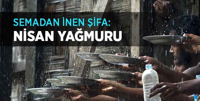 Genc_Bilim's tweet photo. Dikkat Dikkat❕ Son 15 gün..

Çok önemli bir zaman⏳ dilimi elimizden kayıp gitmeden
değerlendirmeliyiz..
🌲Nisan🌳 yağmurları.. https://t.co/xtaSjDSUKS