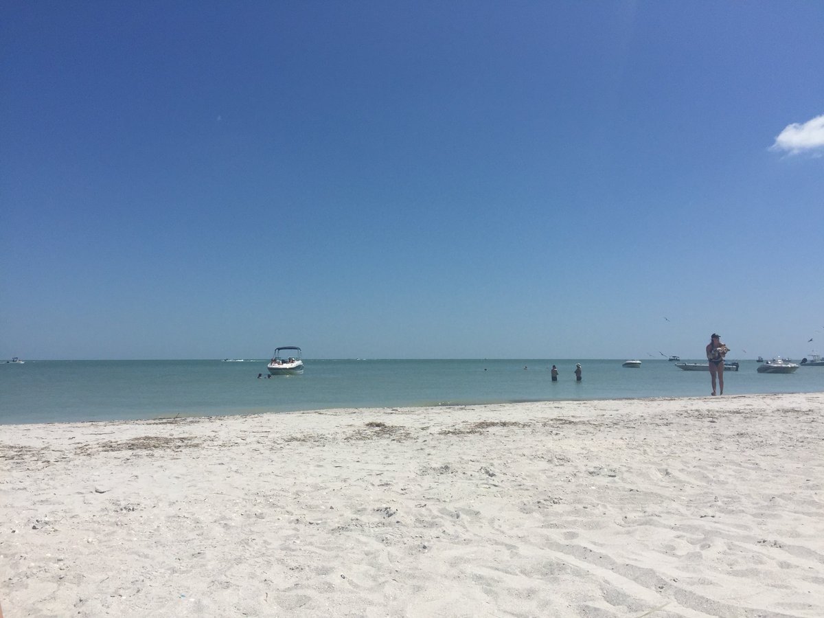 ChristinaCFox10's tweet photo. There is a family on the beach grilling burgers. Words canโt describe the mouth-watering aroma... #needaburger ๐คค https://t.co/jtsIFurDAT