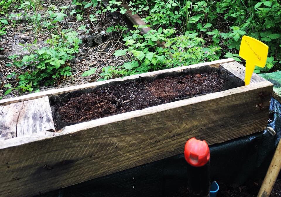 Am Hochbeet ein kleines extra Beet für die fleißigen Bienchen angelegt 🐝#rettetdiebienen