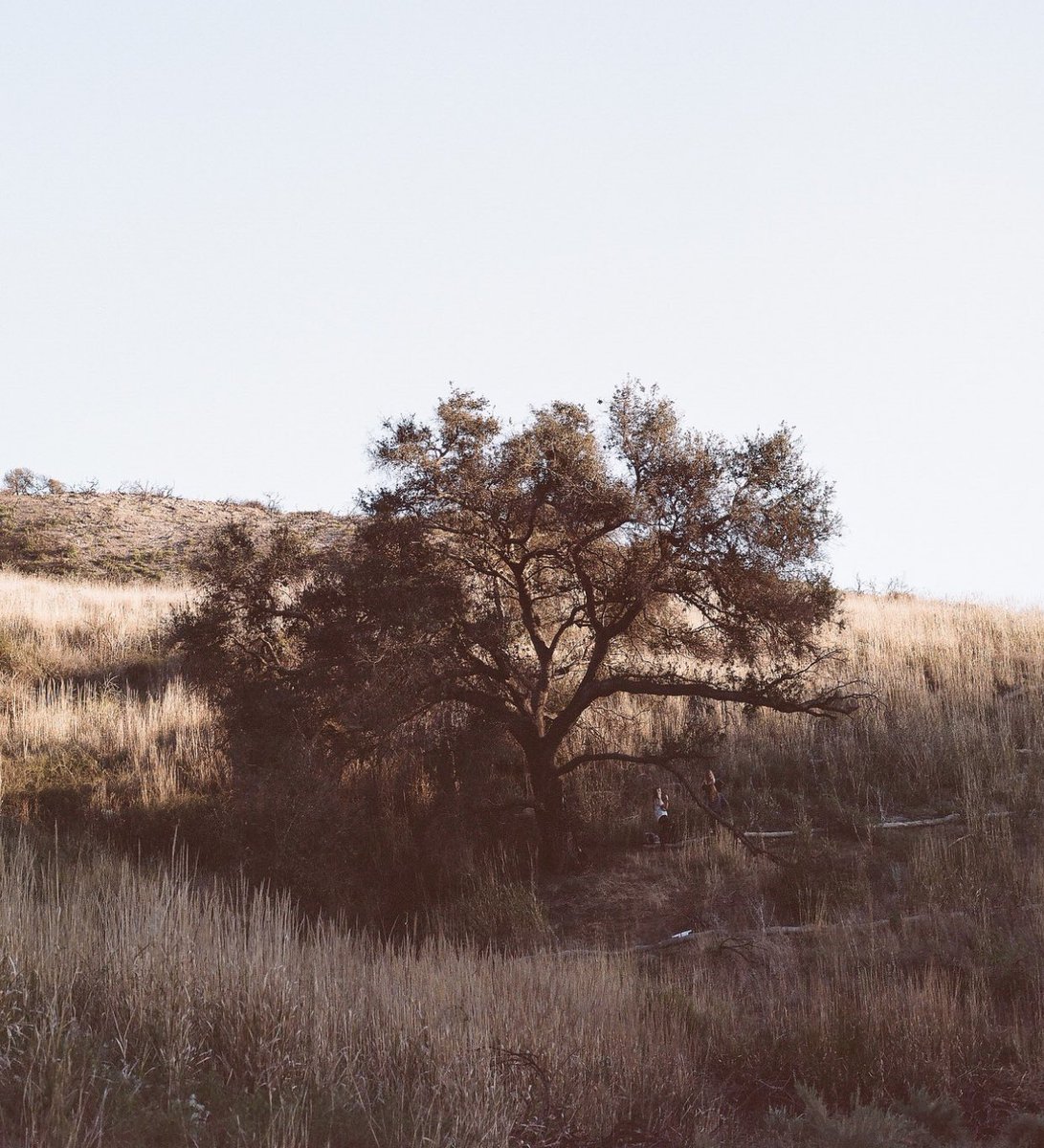 StoffelMatt's tweet photo. Do you see them? Do you see the creators? #yeahfieldtrip #kodak #portra #mediumformat #film #filmcamera #filmphoto #filmphotography #filmfeed #filmcommunity #filmforever #analogphotography #analog #analogue #buyfilmnotmegapixels #staybrokeshootfilm #120film #35to220 #ishootfilm https://t.co/uCOvOhA7xV