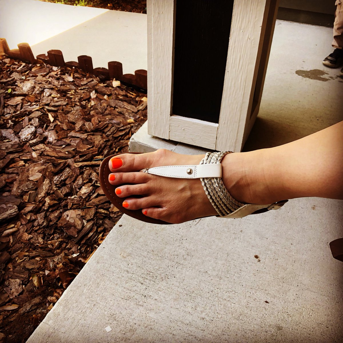 JMarkJohns's tweet photo. When you glance over and realize your wife is fully prepped for CANVAS X tomorrow! #nextlevel #sheserious #canvasorange https://t.co/obvQIEgYKf