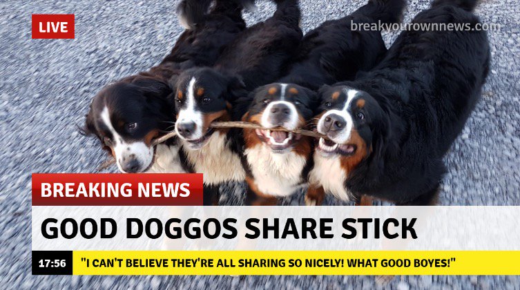 Korean reconciliation is all very well, but I’m sure we can all agree this is the REAL news: