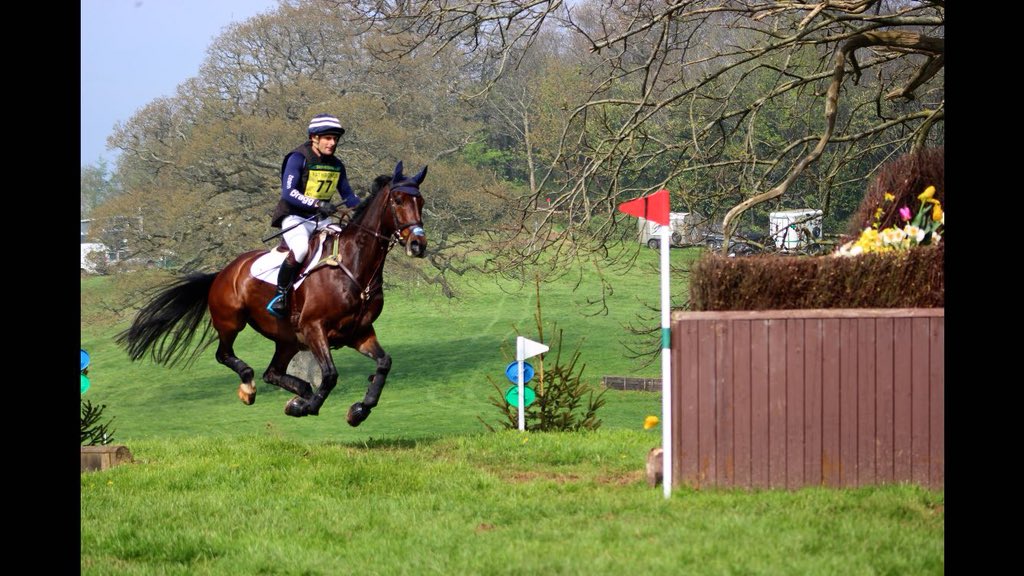 TeamBragg's tweet photo. Super Shannondale Percy, quite literally flying๐คฉ๐ @Eventer28 #HTSG #flair #flairstrips #devoucoux #pontispool #protexin #gain #gaintrain #dengie #chipmunk #chipmunksw #griffinnuumed #gatehouse #marktodd https://t.co/dMqDckU79z